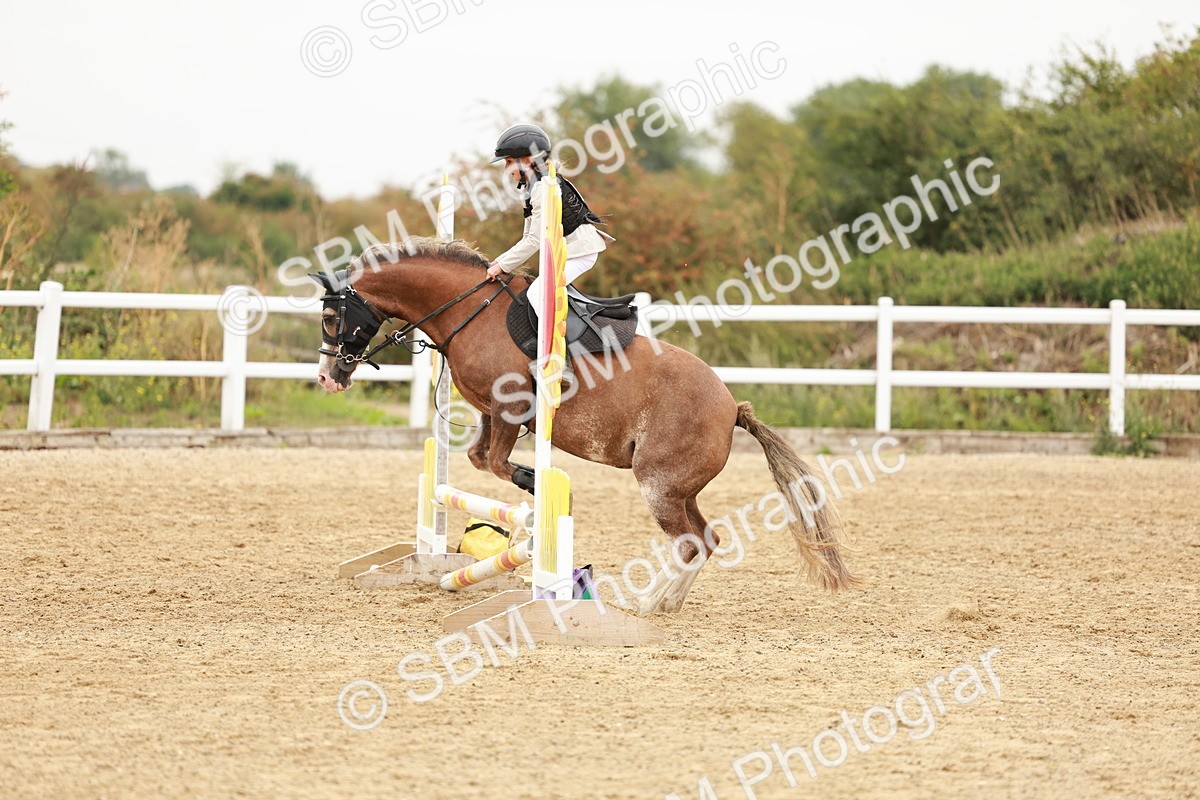 SBM_007279 - Class 2 - 50cm