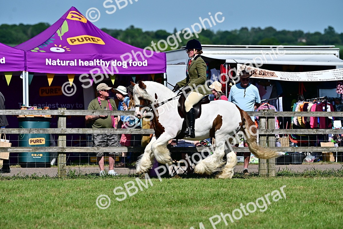 SBM_19374 - Class 101-102 - BSPS LIHS Performance Coloured Horse/Pony