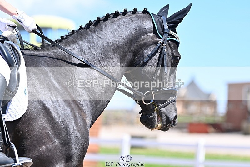 240621A-130653-03639 - Cls 8 BD Elementary 53