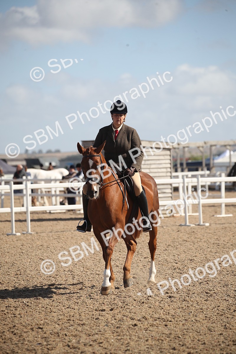 SBM_22972 - Class 603 - 2026 - Ridden Pre Vet