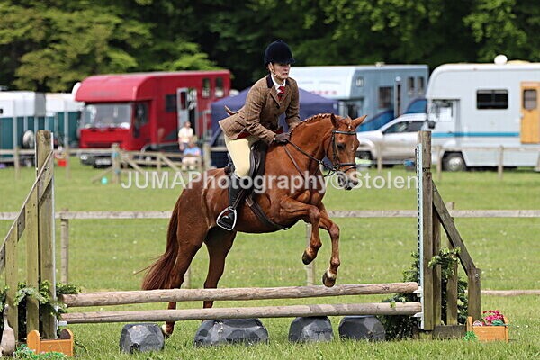 IMG_2965 - Working Hunter