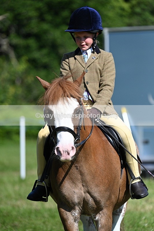 WJ7_0702 - Class 8 First Rally Pony