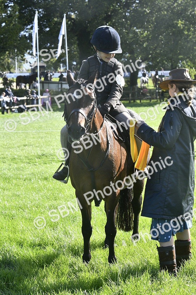 SBM_37232 - S31 - Novice & Newcomer Working Hunter Pony
