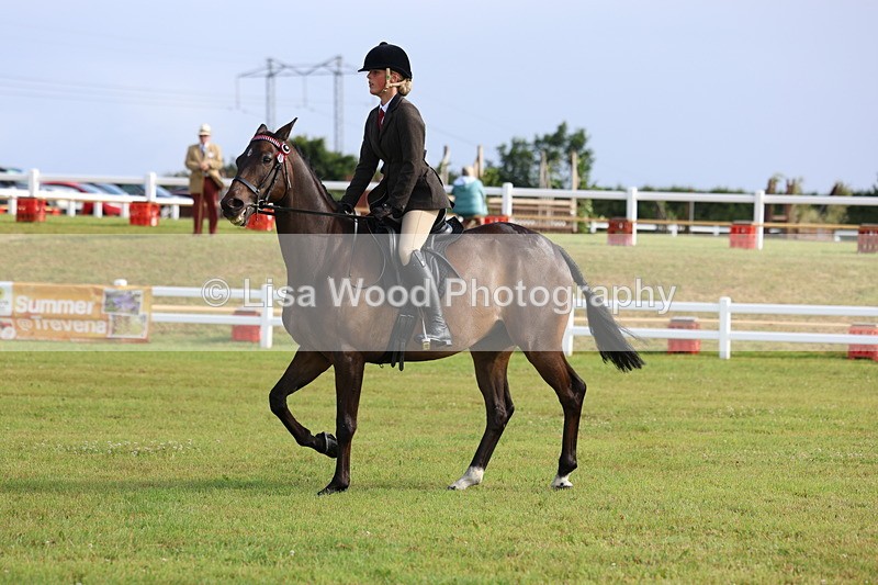 3E7A8270 - Class 2: Rising Star Large Hack/Riding Horse