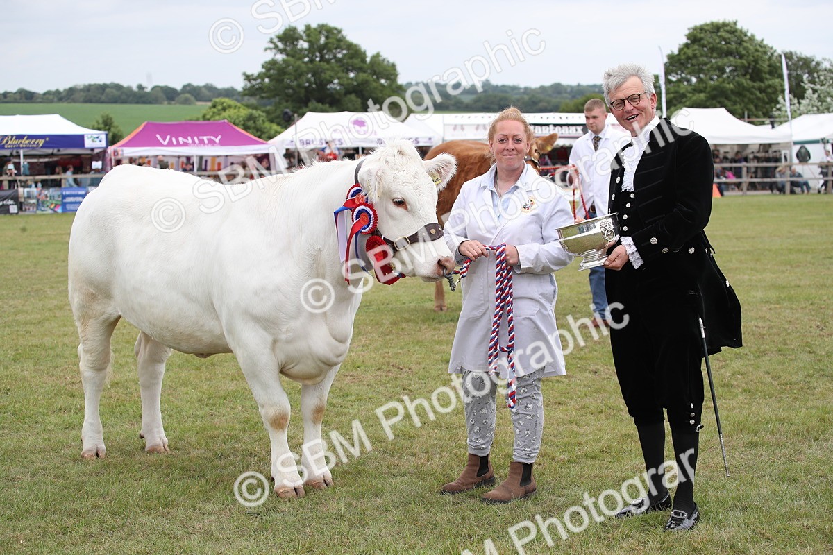 SBM_07918 - Grand Parade