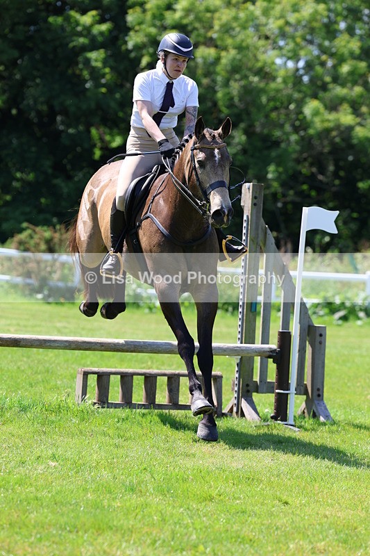 3E7A6929 - Class 30: Novice Working Hunter