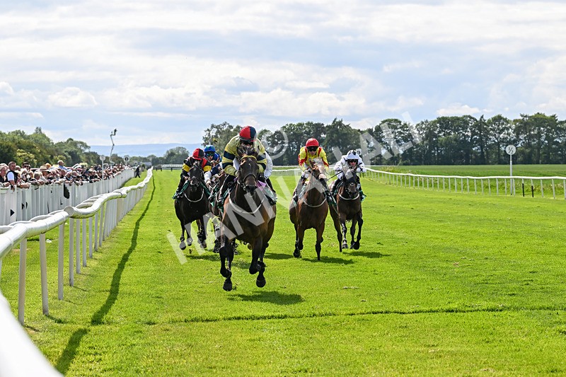 060625-Race 5-Miss Brazen-4930