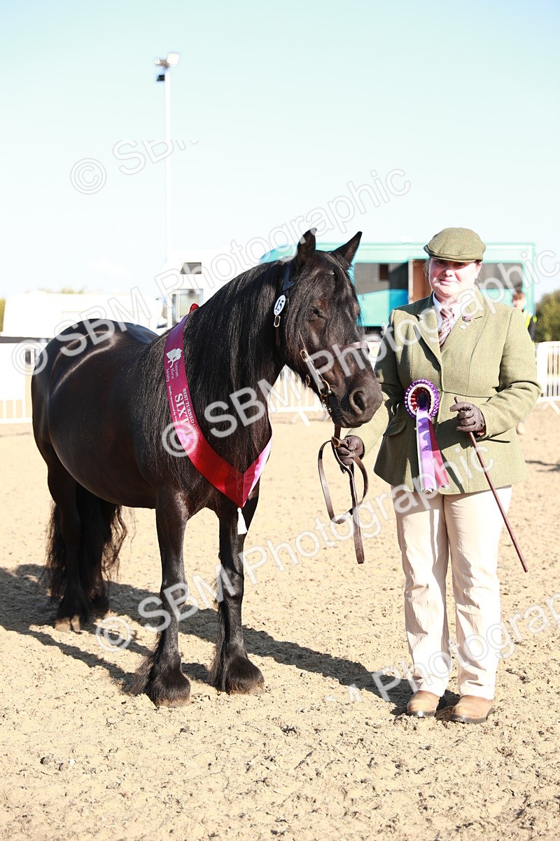 SBM_00143 - Class 40 Best Turned Out IH