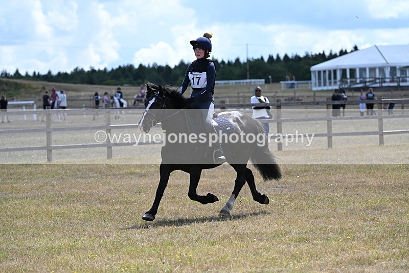WJ7_0455 - 40cm Time 12:10 to 12:20