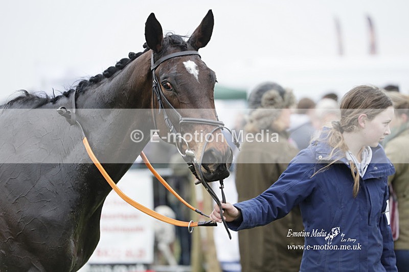 PtP 050323 750 - Blackmore & Sparkford Vale Hunt PtP - Somerset 05/03/23