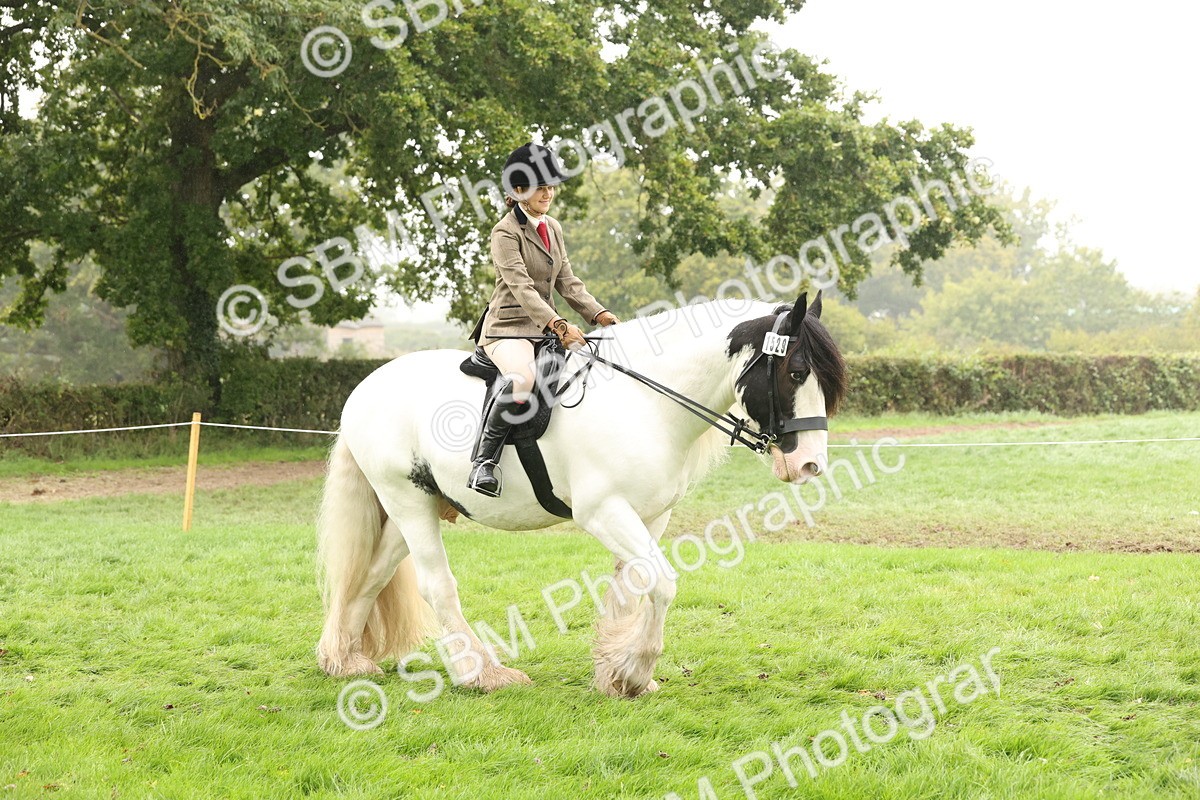 SBM_72654 - S70 - Traditional Cob Ridden