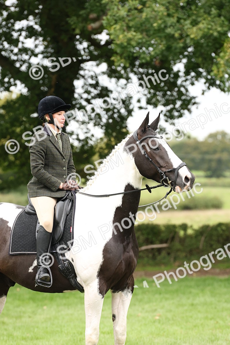 SBM_67306 - S67 - Piebald & Skewbald Horse Ridden
