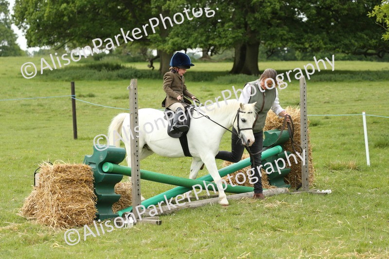 20250517-0555 - Class 20 - Beginners Working Hunter