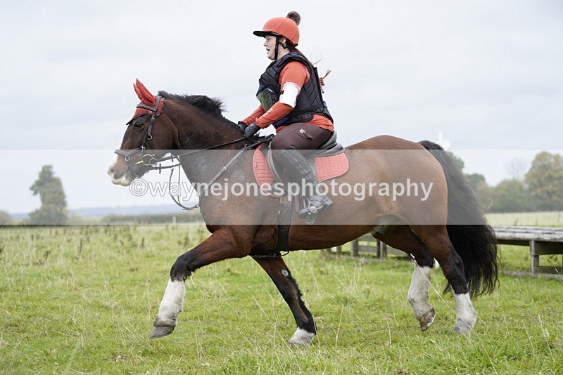 _DSC6568 - Time at Photographer 10:13 to 10:42