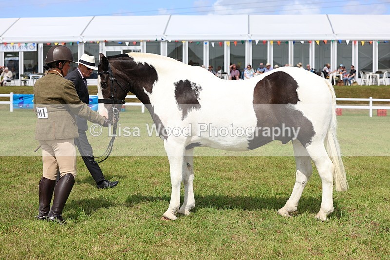 3E7A0069 - Class 5: Rising Star Lightweight/Heavyweight Cobs