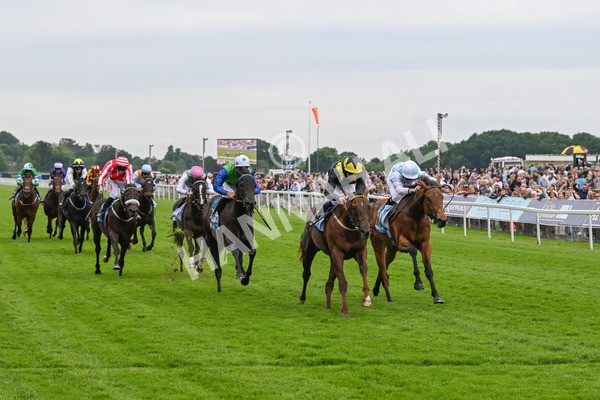 250524-Race 2-Arabie-2994 - Race 2 2.10pm Reg Bond 'Always And Forever' EBF Restricted Novice Stakes