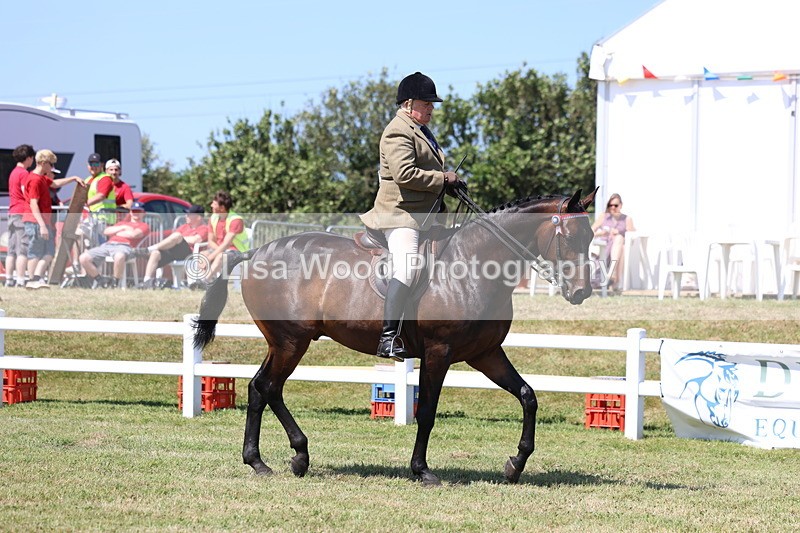 3E7A7677 - Class 7: Open Riding Horse