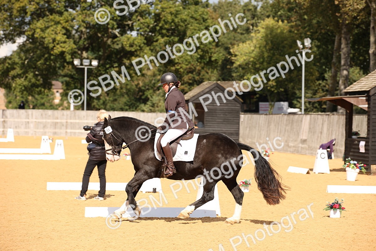SBM_08890 - D8 Small Tour Championship Prelim 7