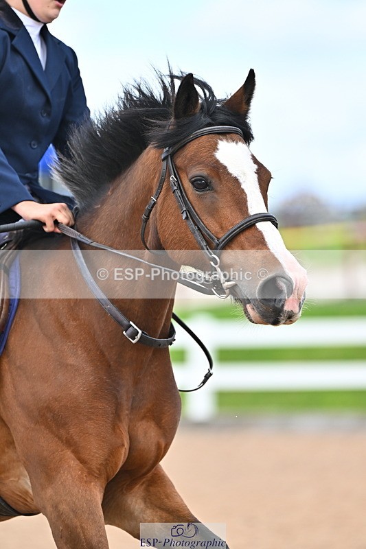 240723A-165238-00281 - 70cm