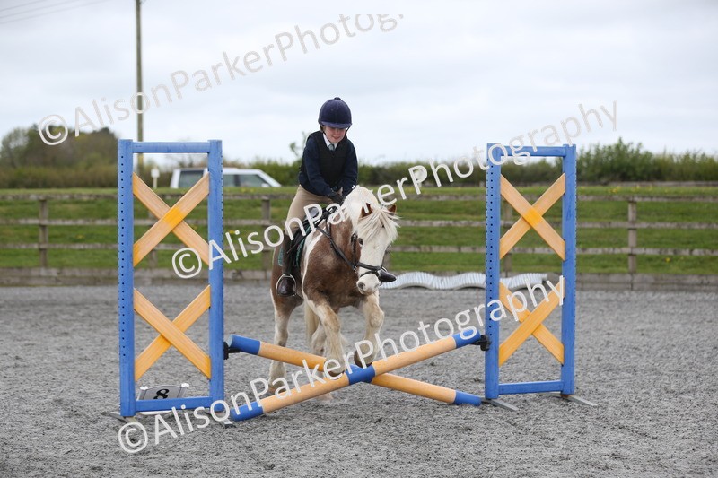 20260412-0164 - Show Jumping