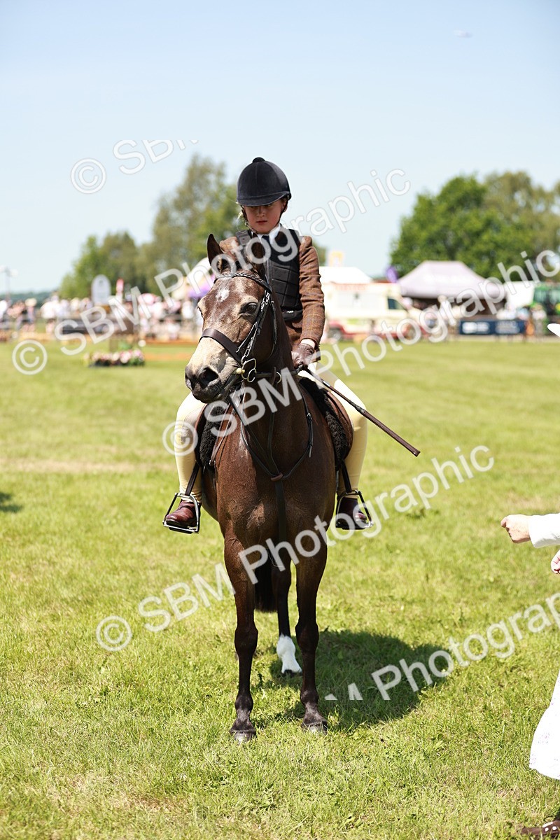 SBM_15806 - Class 108-109 - BSPS LIHS Open Gradle & Nursery Stakes