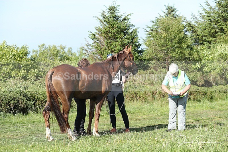 SPXX0085 - Friday vetting