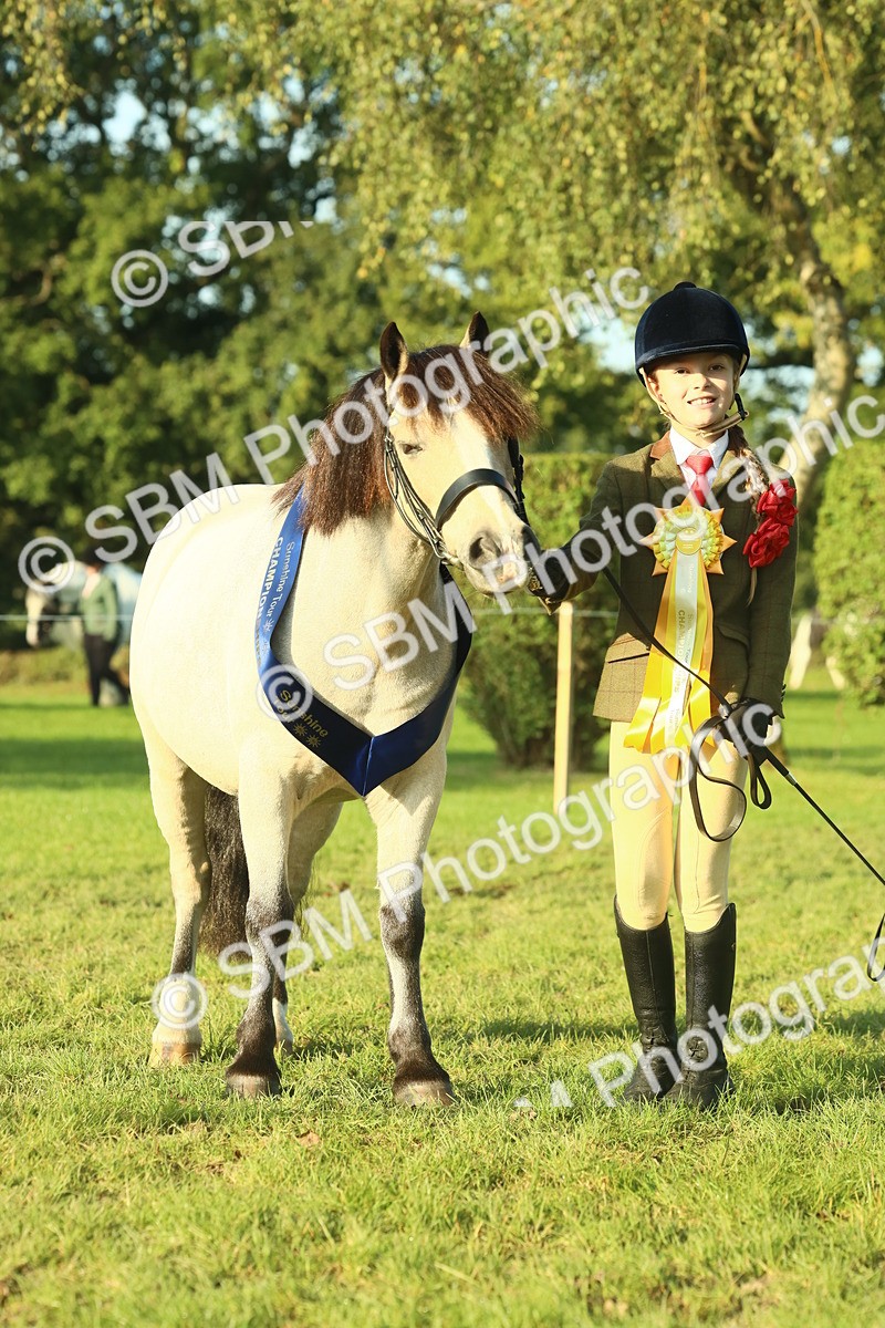 SBM_58479 - S37 - Starters In Hand Showing