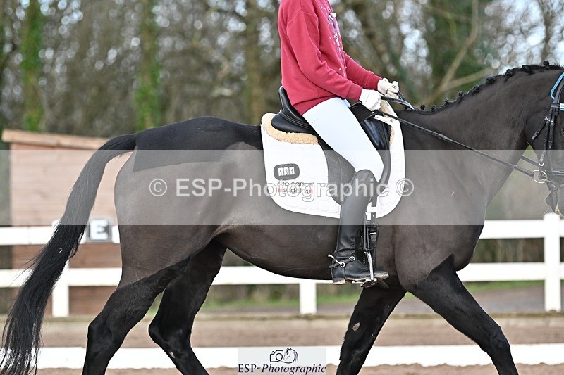 241214-115037-01465 - 131-Alys.Matravers-DARGASONS.MOON.SHADOW