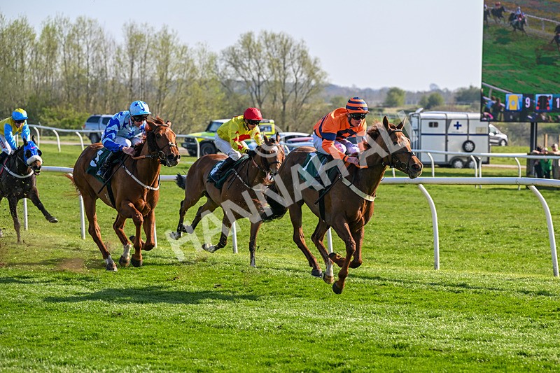 080426-Race 5-Free Pic-0578 - Race 5