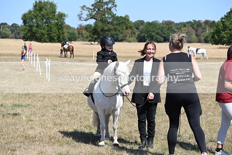 WJ6_8170 - Class 36 Lead Rein