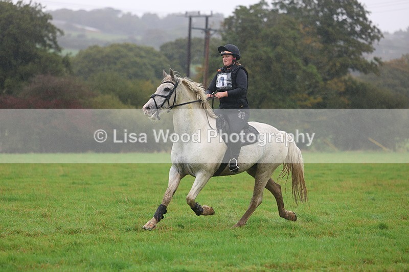 3E7A0963 - Class 1: 65cm: Rails