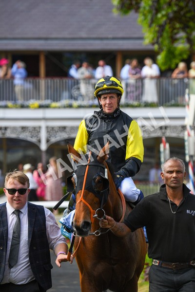 270523-Race 5-Starnberg-0809 - Race 5 3.50pm William Hill Extra Place Races Daily Handicap