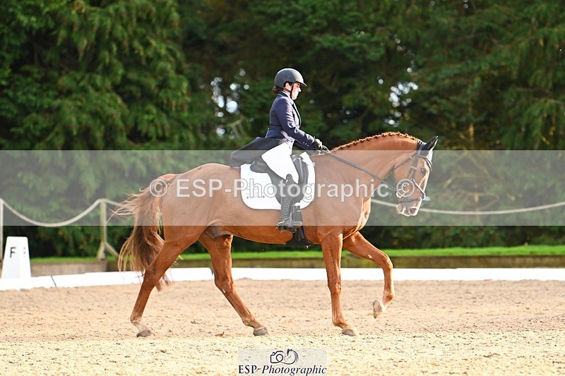 231021-161318-21055 - 264-BEST.ENDEAVOUR-Freddie.Taylor-DR