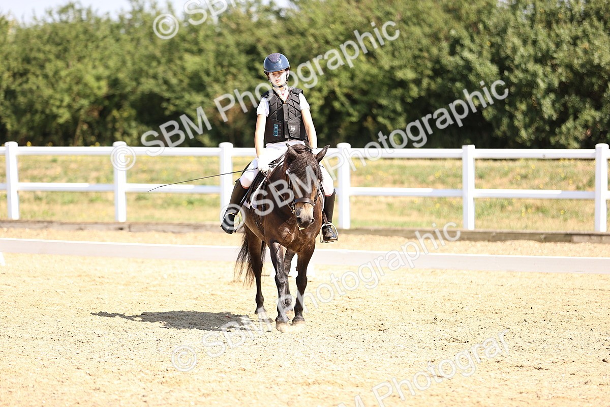SBM_003519 - Intro 2