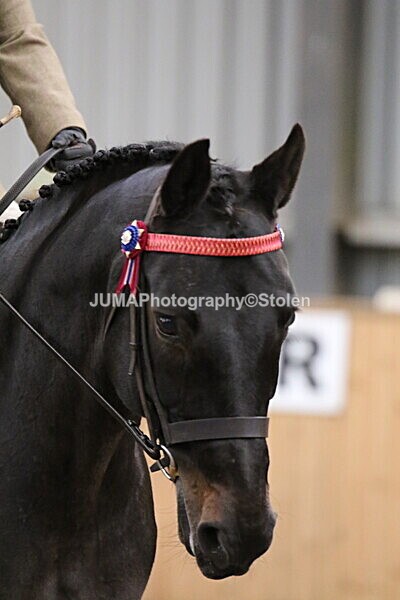 SIAL2820 - Sunday 14th Ridden