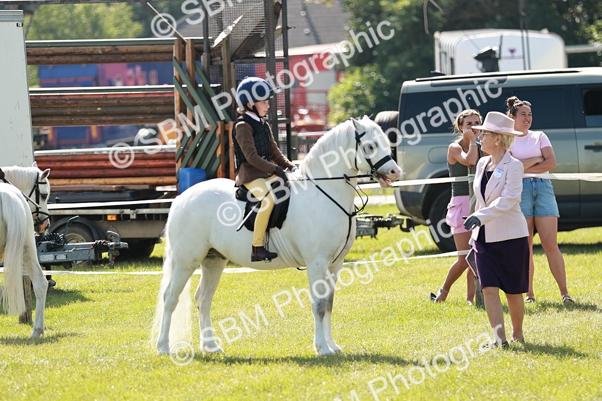 SBM_12631 - Class 106-107 - BSPS LIHS Working Sports Pony