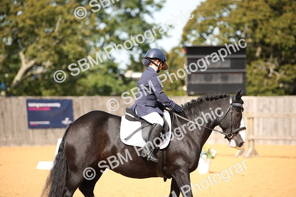 SBM_21737 - D5 - Small Tour Championship - Intro C