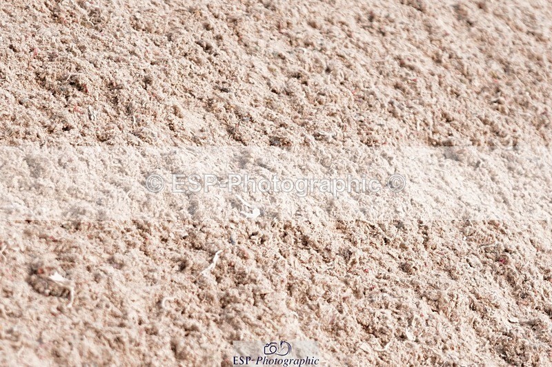 250608-115430-02532 - Cls 6 Pony Discovery 2nd Round