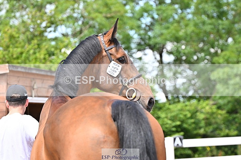 240718A-105248-01169 - Trot Up 12pm to 1pm