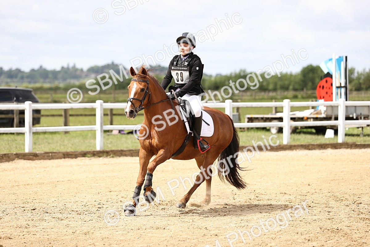 SBM_007210 - Class 2 - 80cm showjumping