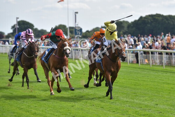 yr08072022r5-17 - Race 5 4.25pm Azets Stakes
