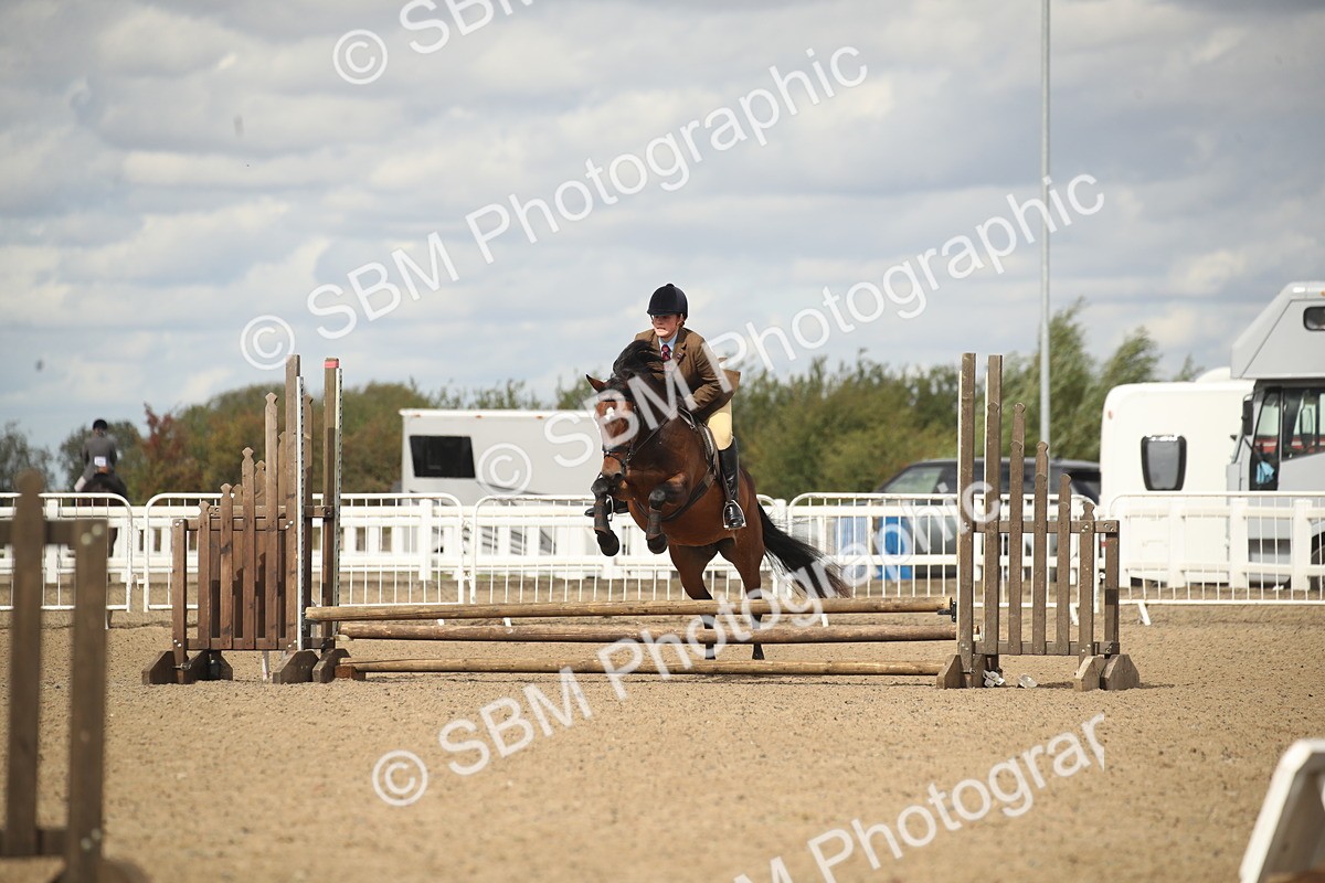 SBM_14526 - Class 505a - M&M Working Veteran - 50cm (15-19)