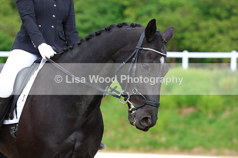 3E7A3398 - Class 2: INTRO B- INTRO 3 2024