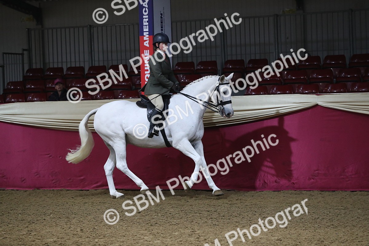 SBM_10379 - Class 102 Equitation (best rider) Adult