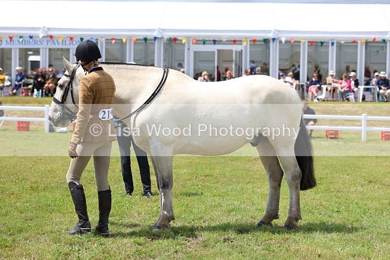 3E7A2250 - Class 10: Open Cob