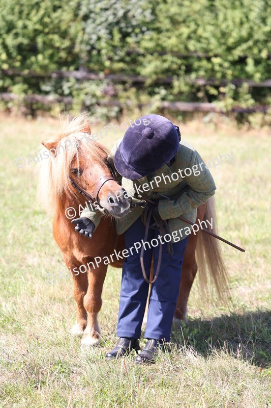20260906-2014 - Class 24 - Child Handler