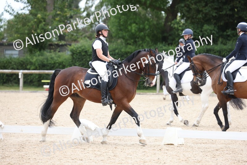 20250604-1090 - Class 7 - Medium 5