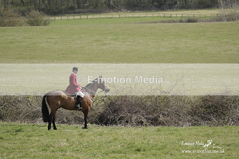 PtP 080423 162 - Dingley Races The Woodland Pytchley Hunt PtP 08/04/23