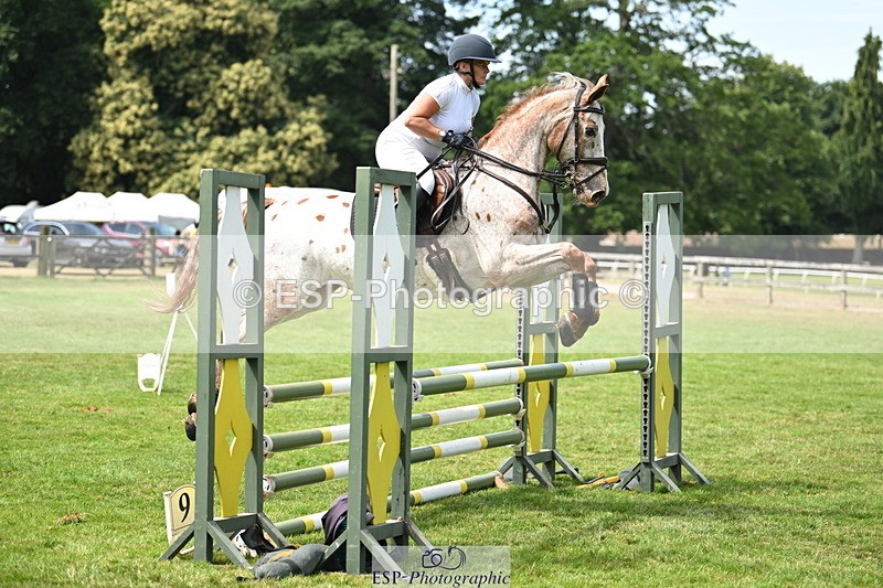 250704A-111752-07218 - Cls 25 Snr British Novice and 90cm