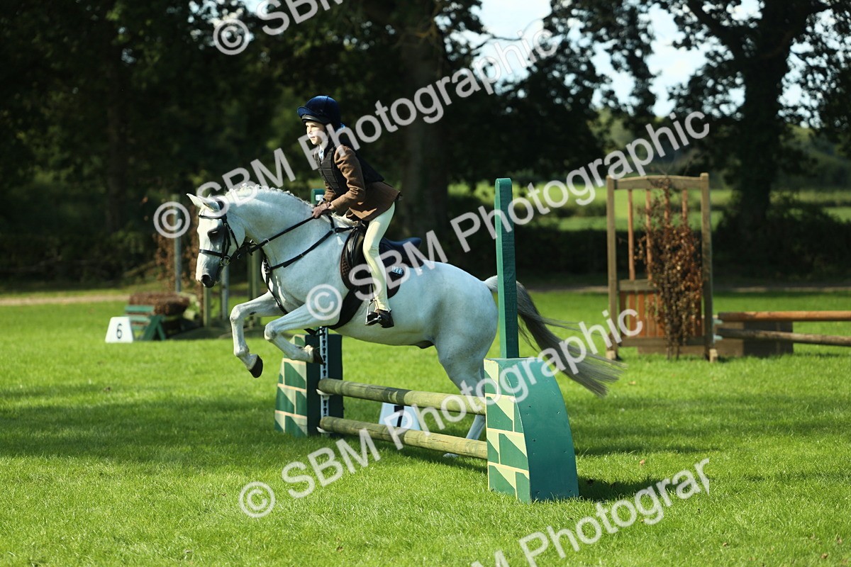SBM_39205 - S29 - Novice & Newcomers Working Hunter Pony